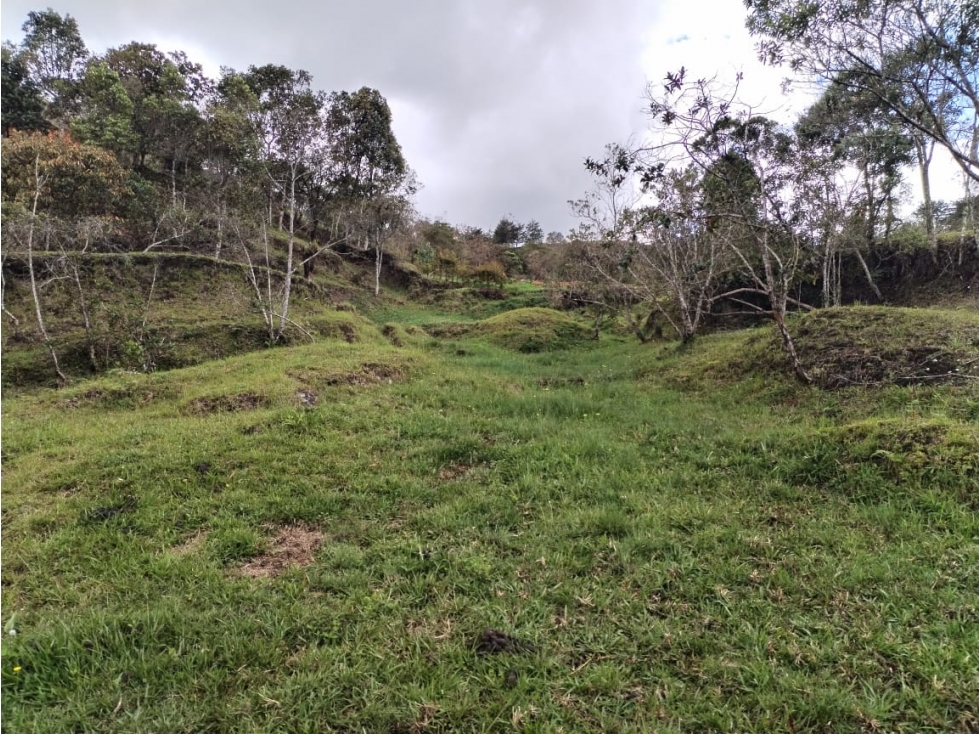 Lote en Parcelación Campestre, Vereda San Ignacio, San Vicente — foto 6