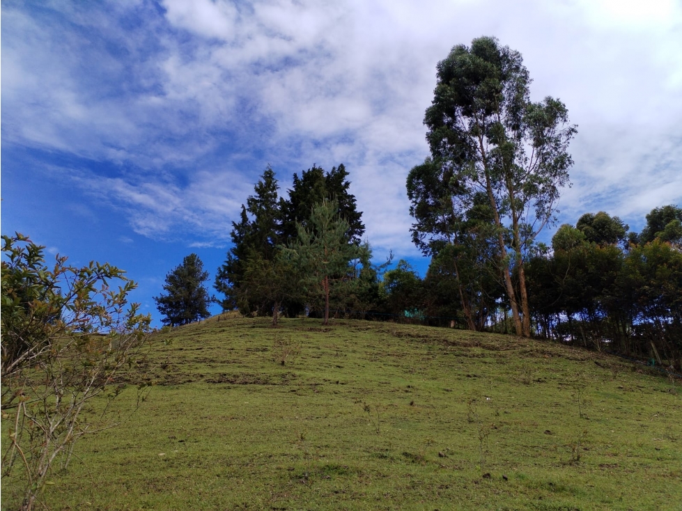 Lote Campestre en Venta, Sector Guamito, Guarne — foto 6