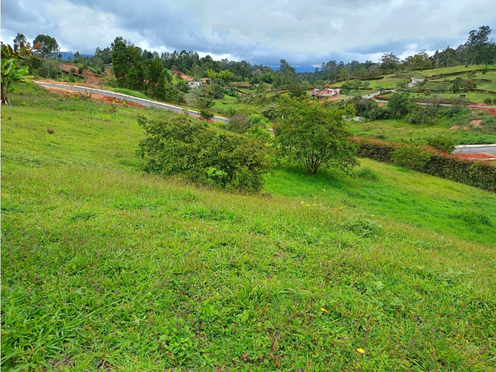 Lote en Venta, Sector San Antonio La Ceja, El Carmen — foto 6