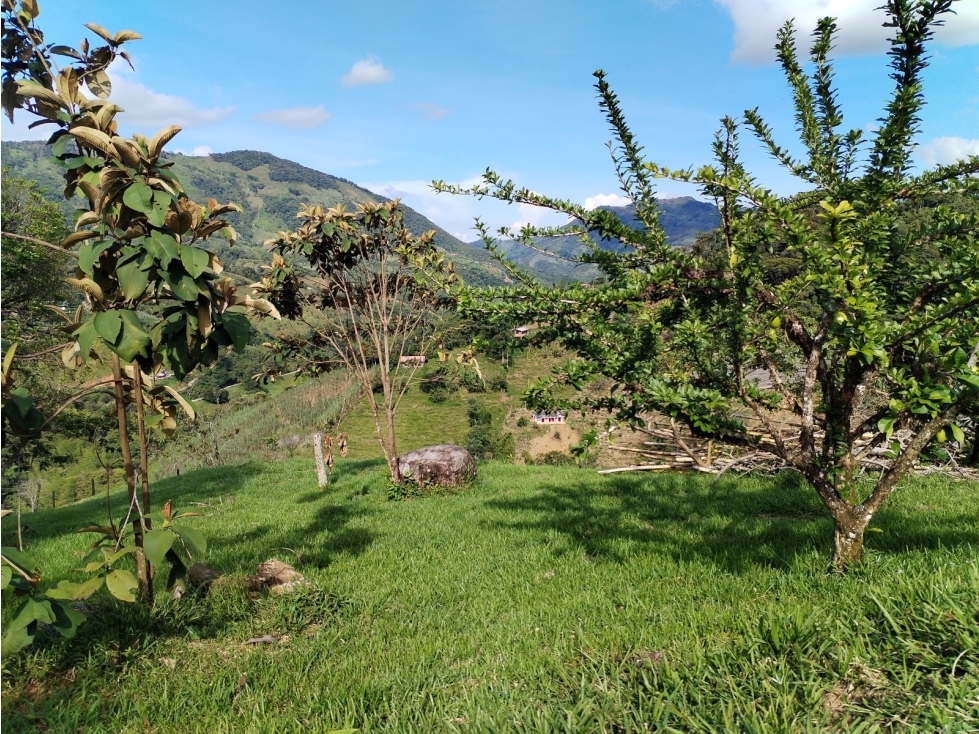 ¡Excelente Oportunidad! Lote en Venta Sector Los Cedros, CocornÃ¡ — foto 5