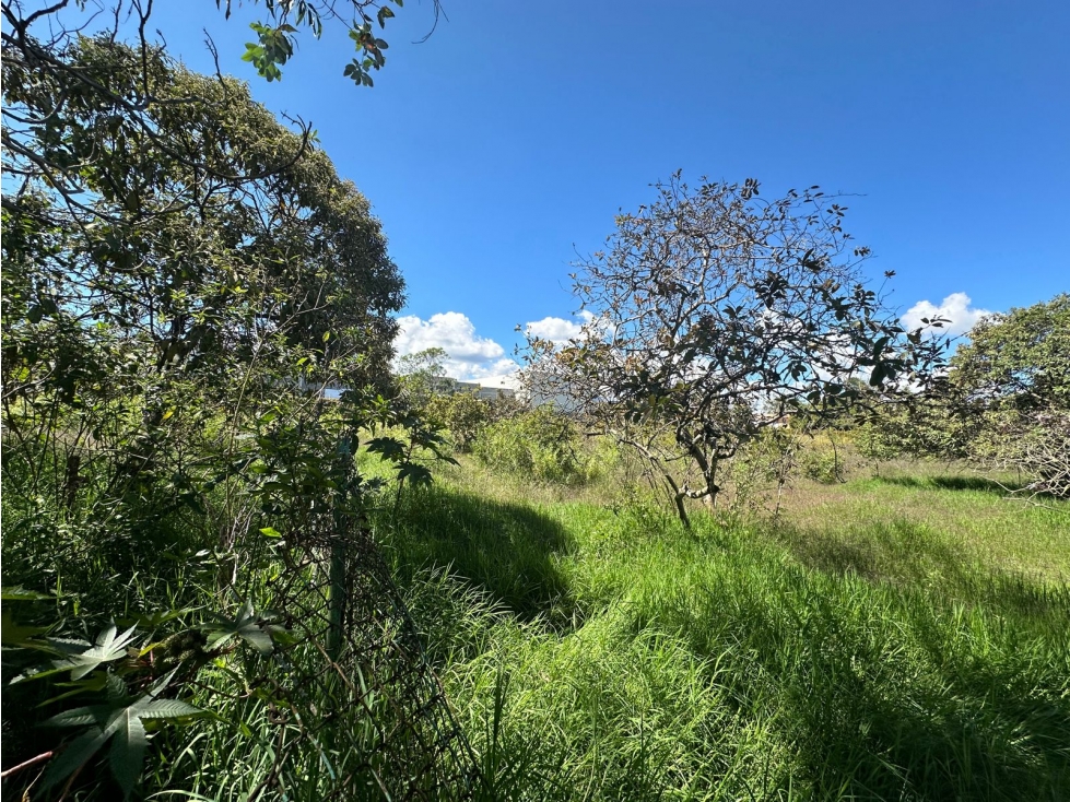 Lote en Venta Sector Sajonia, Rionegro — foto 6