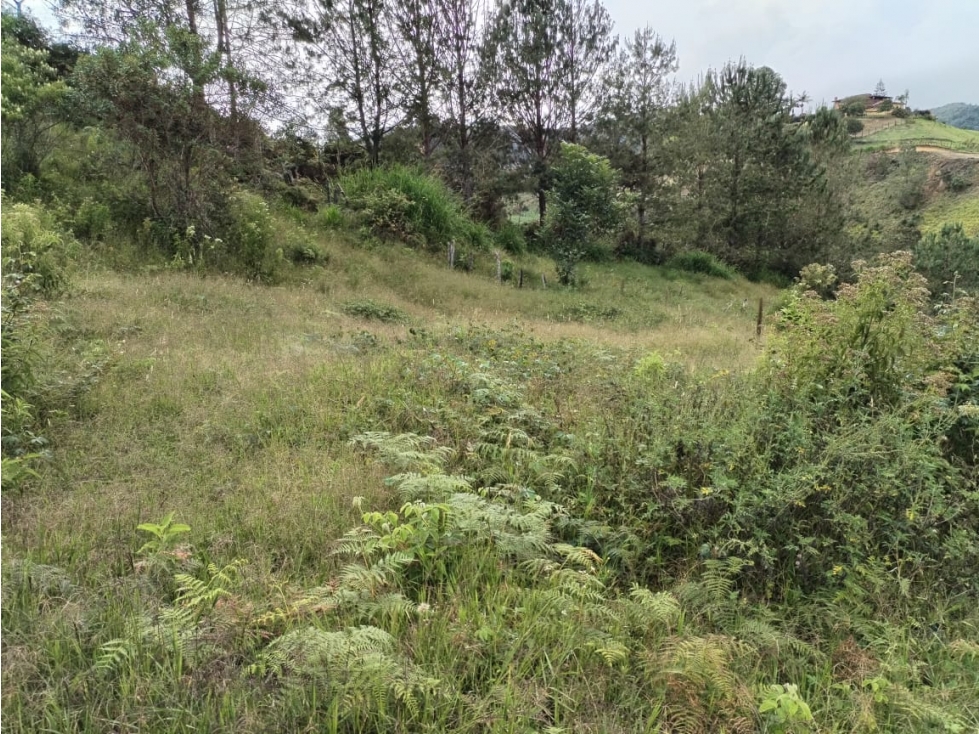 Lote en Venta, Sector La Compañia, San Vicente — foto 4