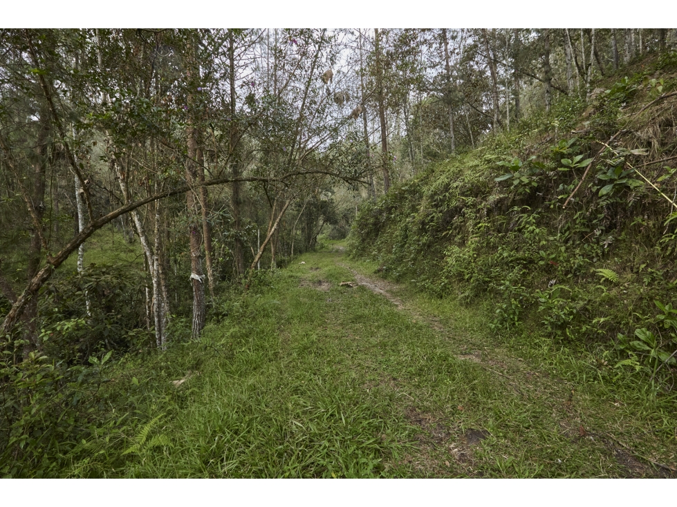 Lote en Venta Sector Lejos del Nido El Retiro