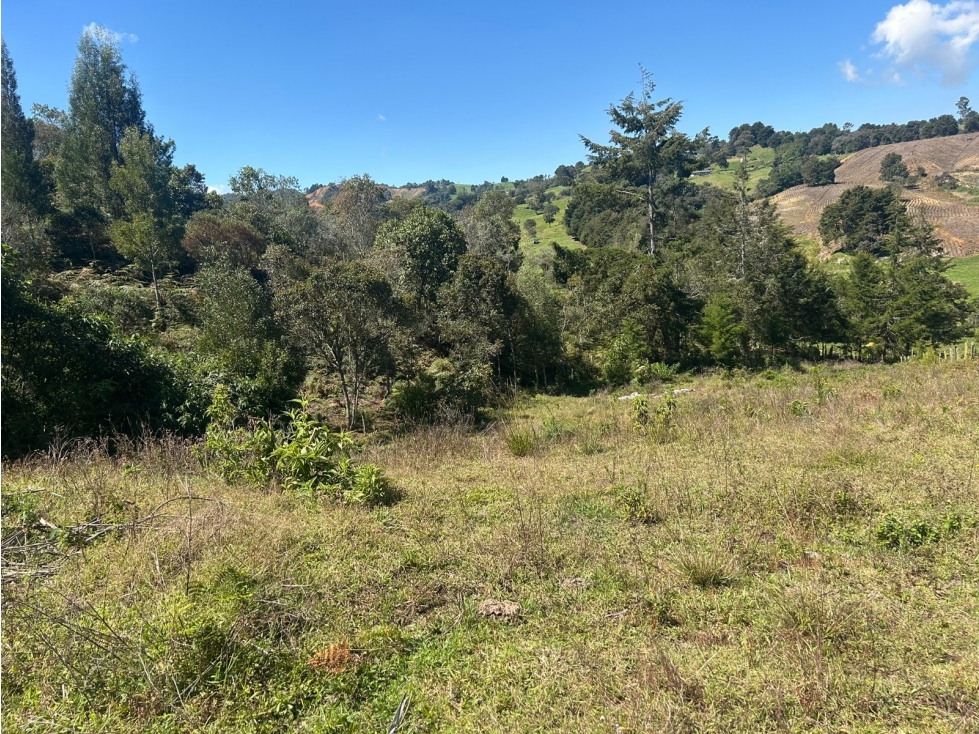 Lote en Venta Vereda el Espinal, San Pedro de Los Milagros — foto 6