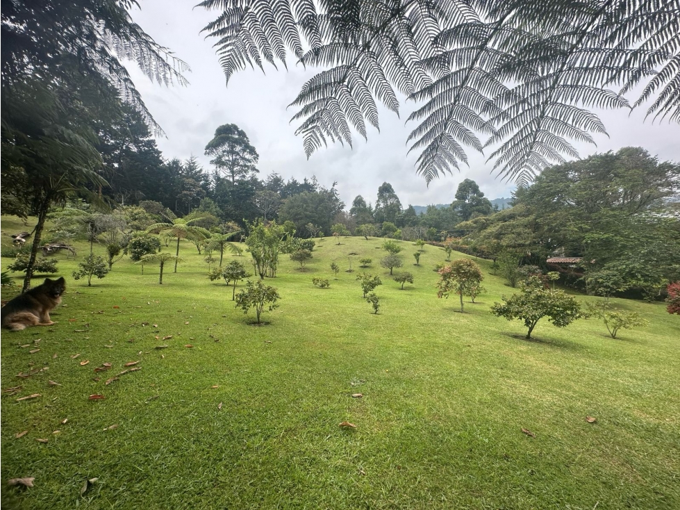 Lote en Venta, Sector La Querencia, Rionegro — foto 6