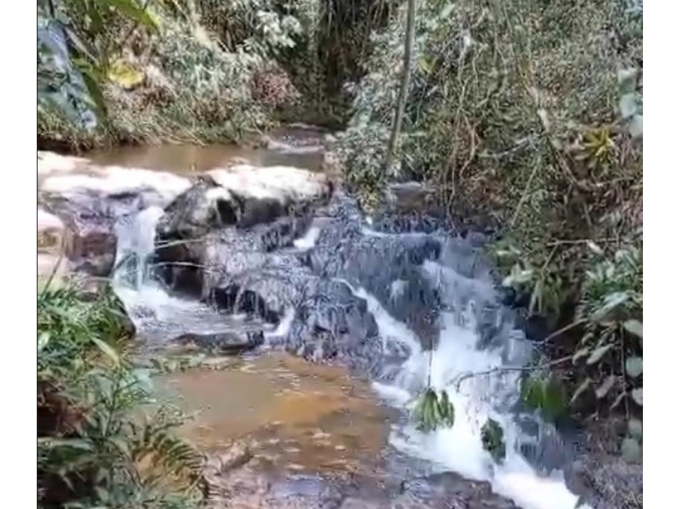 Casa Lote en Venta, Vereda Yolombal, Guarne — foto 6