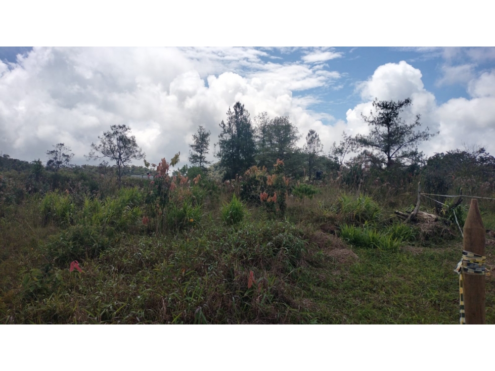 Lote en Venta con vista a La Represa, cerca a Guatapé