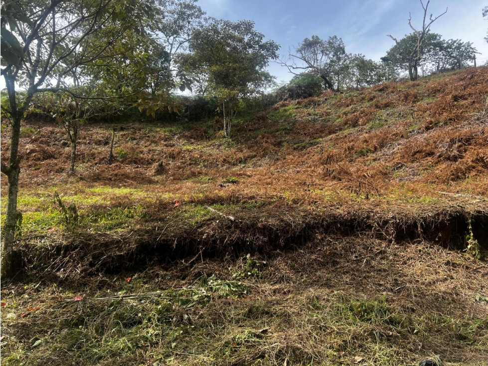Lote en venta, sector San Joaquín, Ojo de Agua, Rionegro — foto 6