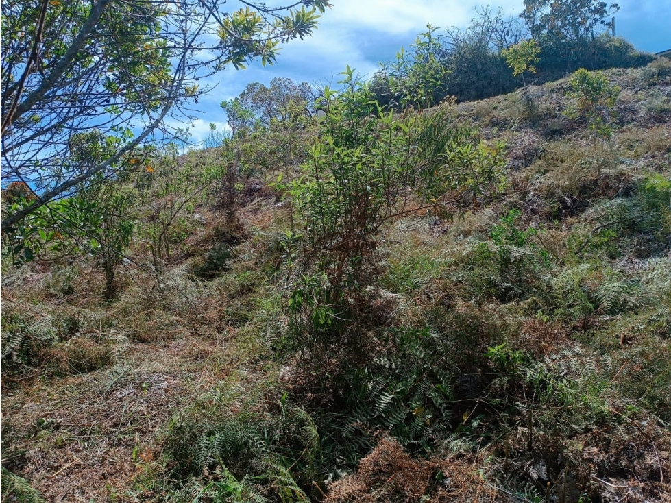 Lote en venta, vereda El Porvenir, San Vicente — foto 6