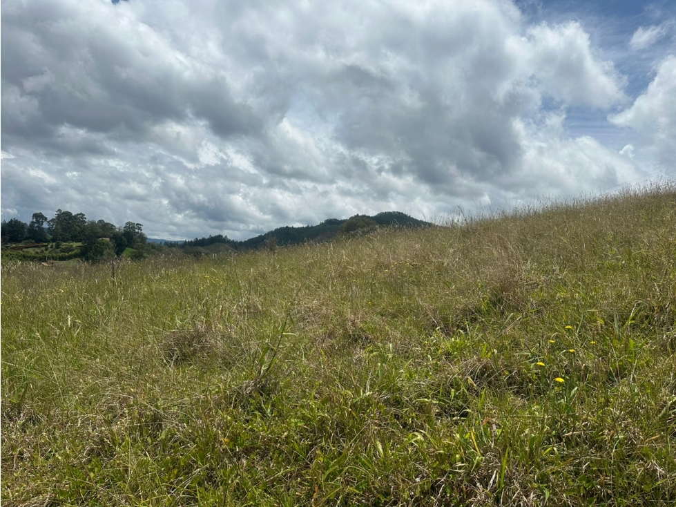 Lote en venta, sector La Leona vía Pantanillo, El Retiro — foto 6