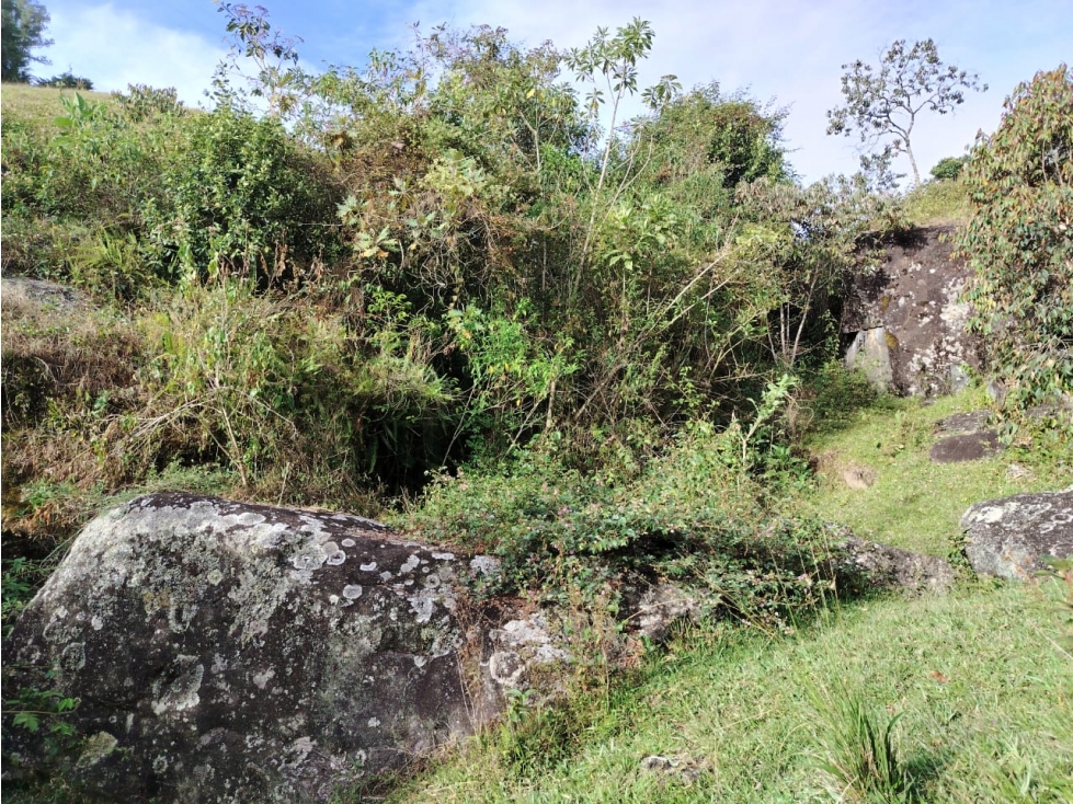 Finca en venta, sector El Rosario, Marinilla — foto 6