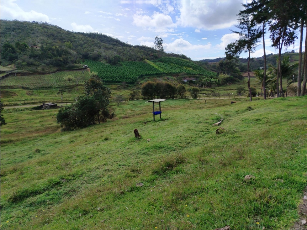 Lote en venta, sector La Magdalena, San Vicente — foto 6