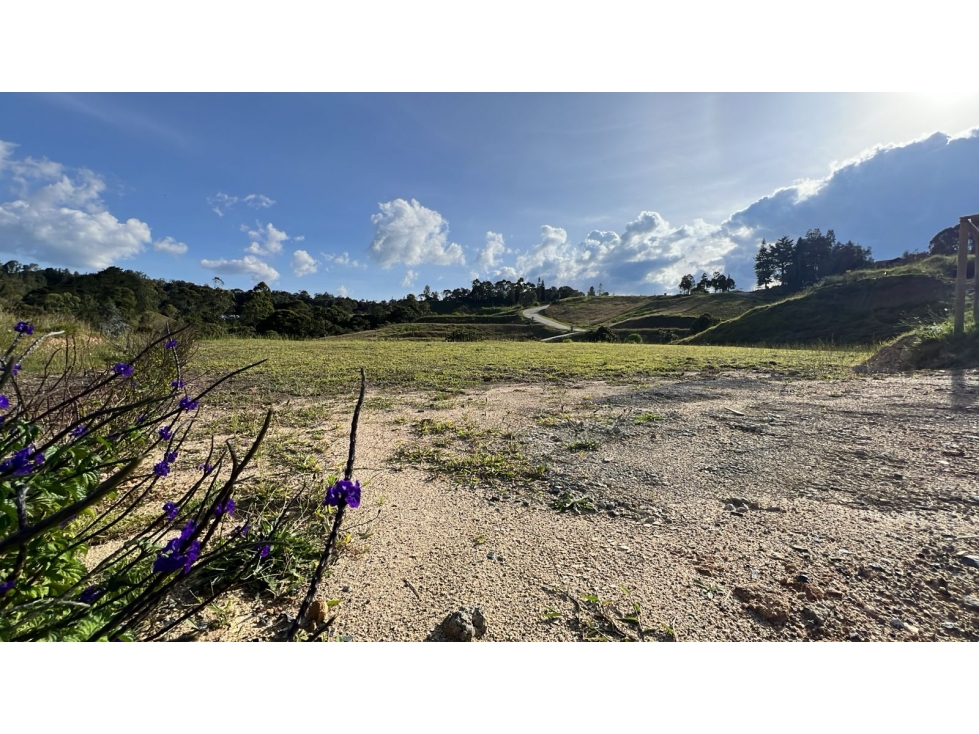 Lote en venta, sector La Leona Pantanillo, El Retiro — foto 6