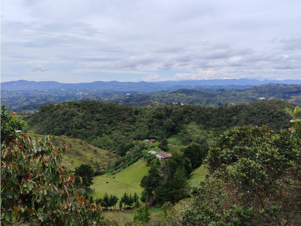 Casa lote en venta con bosque nativo, La Magdalena, San Vicente — foto 6