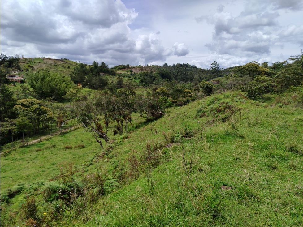 Lote en venta, sector La Magdalena, San Vicente — foto 6