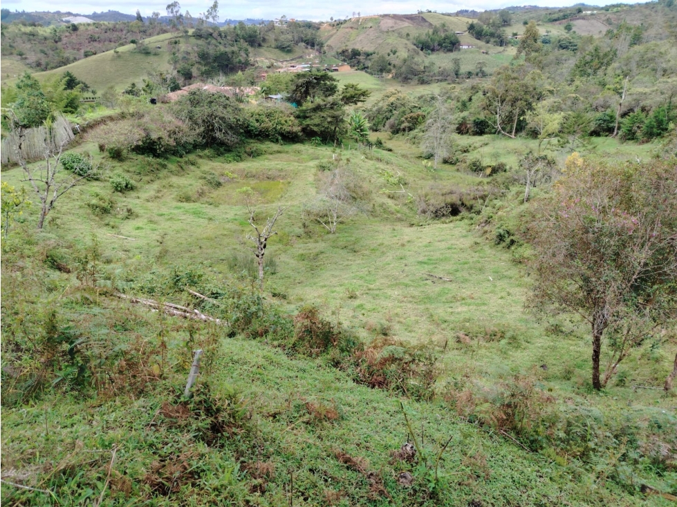 Lote con hermosa vista y agua natural en La Magdalena, San Vicente — foto 6