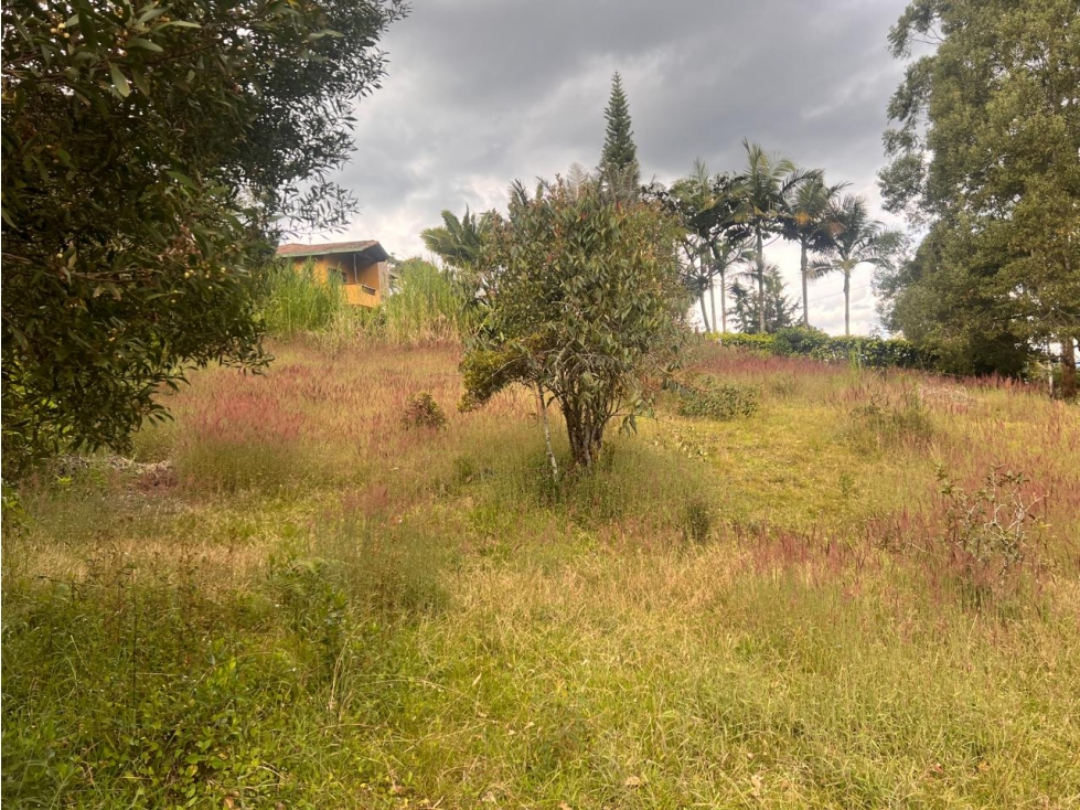 Lote con vista al Valle de San Nicolás, cerca al aeropuerto — foto 6