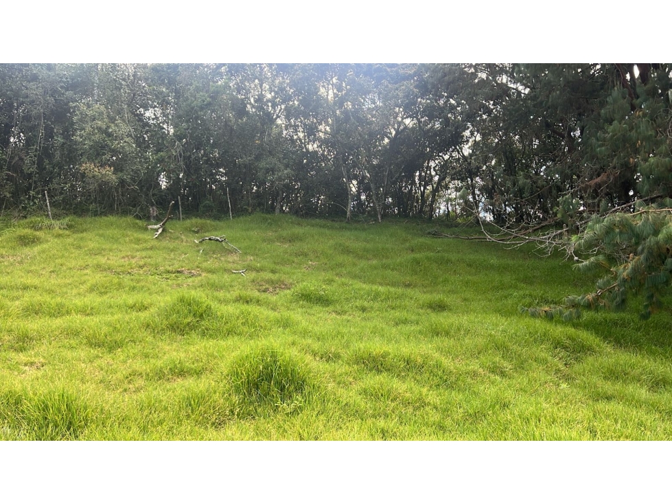 Lote en venta, Vereda Alto de La Virgen, Guarne — foto 6