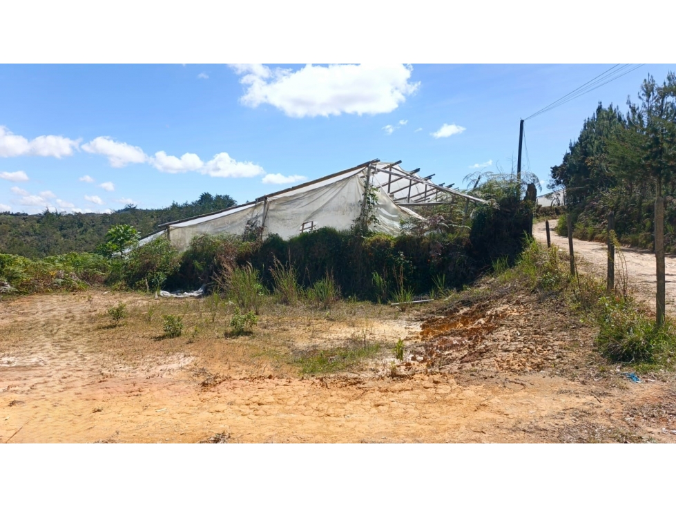Finca agrícola en venta, con alto potencial productivo en San Vicente — foto 6