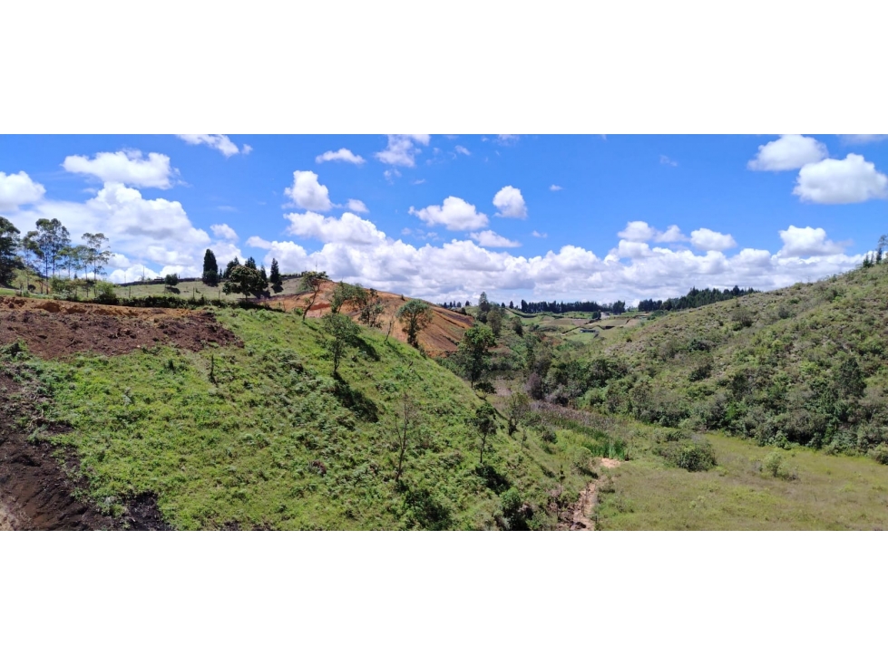 Lote en venta, sector Hojas Anchas, Guarne — foto 6