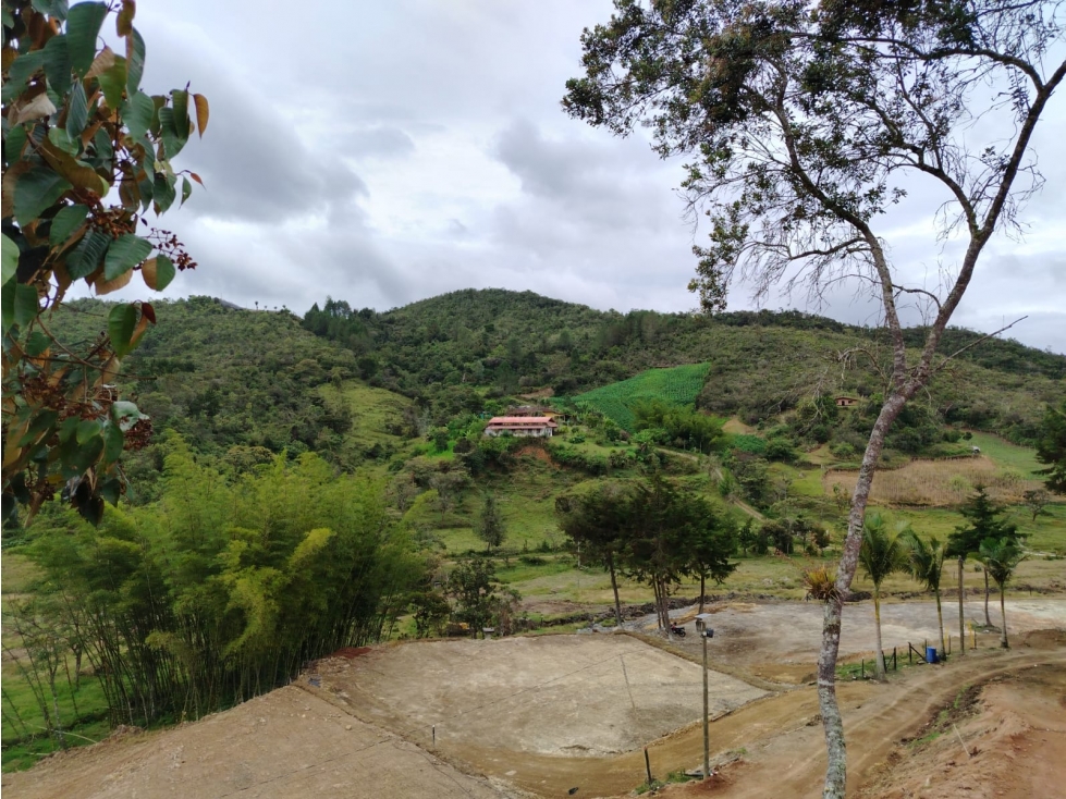 Lote en venta sector, La Magdalena, San Vicente — foto 6