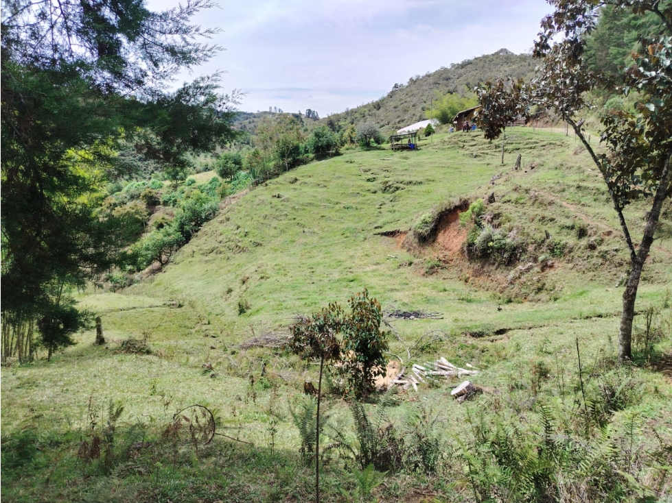 Finca en venta, sector Santa Ana, San Vicente — foto 6