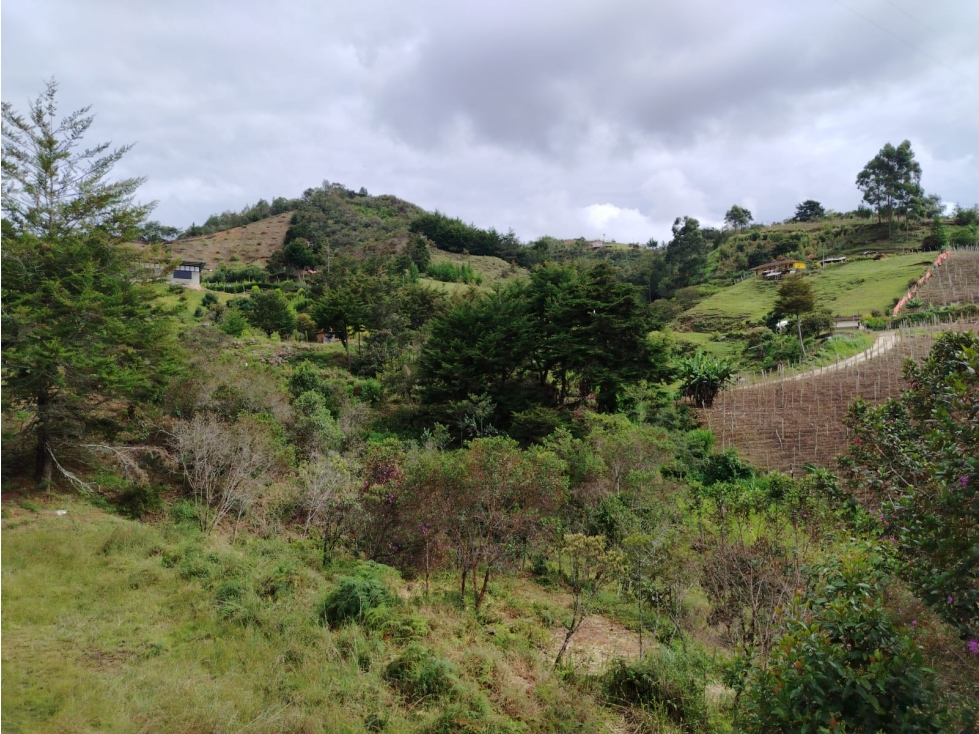 finca en venta sector el Porvenir, San Vicente — foto 6