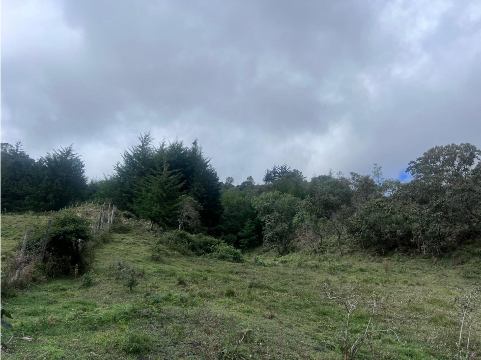 Lote en venta sector Las Cruces, San Vicente — foto 6