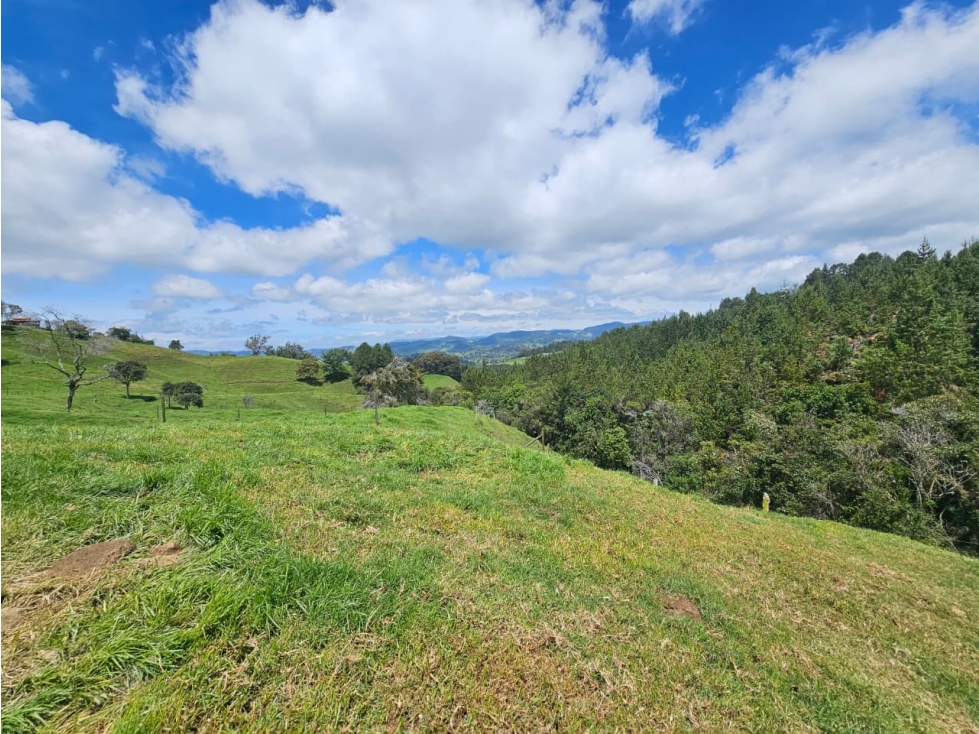 Lote en venta vereda Zafra, San Pedro de los Milagros — foto 6