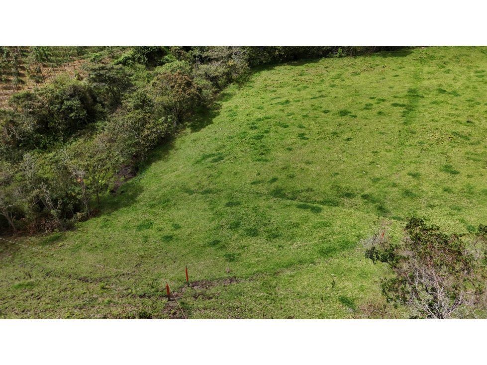 Lote campestre en condominio exclusivo Don Diego a La Ceja — foto 6