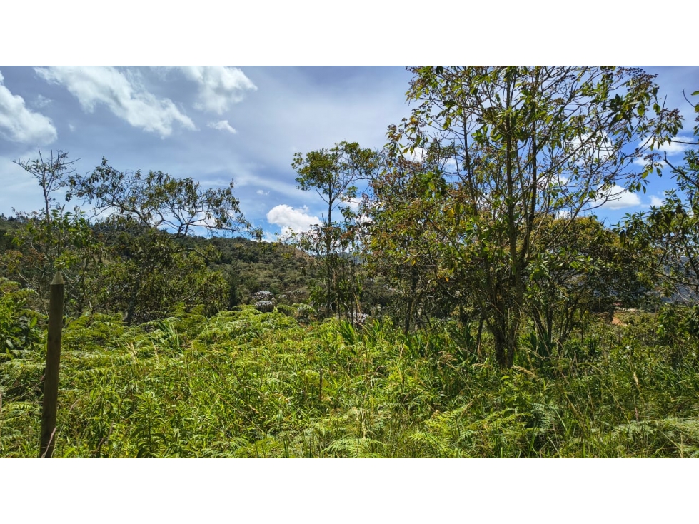 Lote en venta sector La Pastorcita, Guarne — foto 6