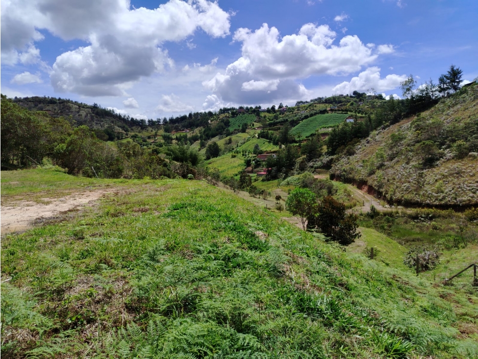 Lote campestre con bosque y vista San Vicente Ferrer — foto 6