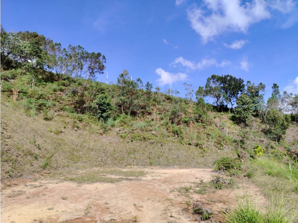 Lote en venta sector El Porvenir, San Vicente — foto 6