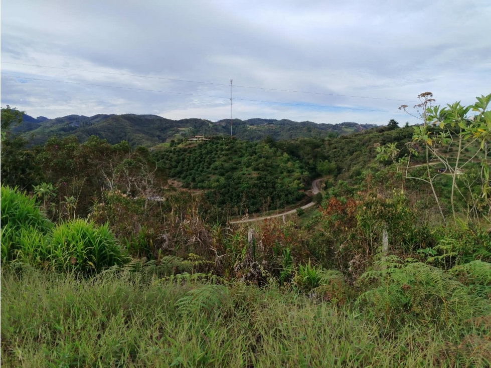 Lote en venta sector La Magdalena, san Vicente — foto 6