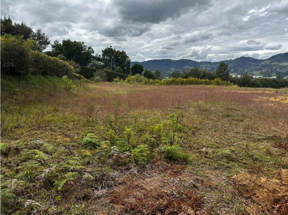 Lote campestre en venta vereda Guamito, La Ceja — foto 6