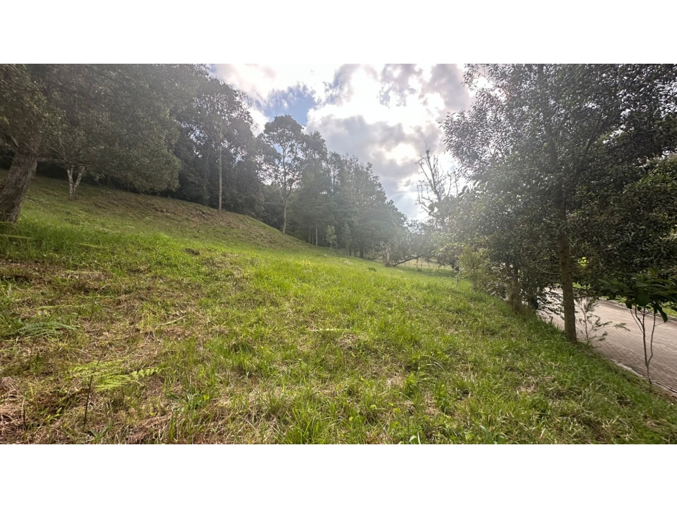 Lote campestre en venta, vía El Retiro La Ceja sector Pantanillo - 6