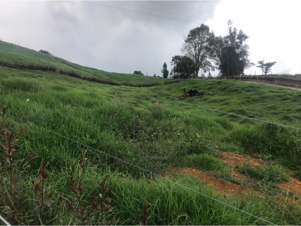 Lote en Venta en San Pedro de los Milagros Vereda La Pulgarina — foto 6
