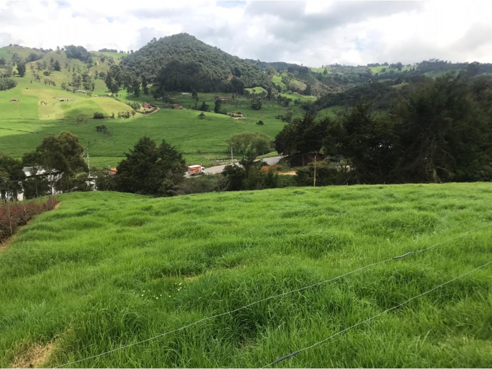 Lote en Venta en San Pedro de los Milagros Vereda La Pulgarina
