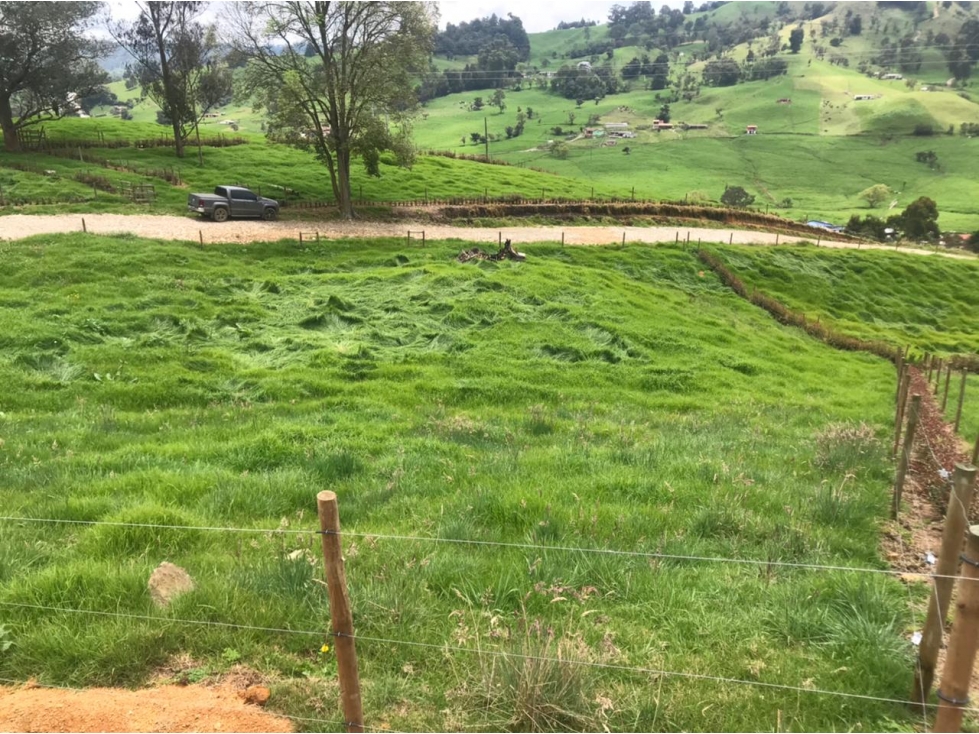Lote en Venta Vereda La Pulgarina en San Pedro de los Milagros — foto 4