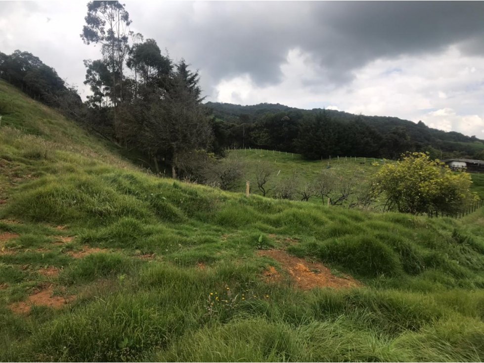 Lote en Venta Vereda La Pulgarina en San Pedro de los Milagros — foto 6