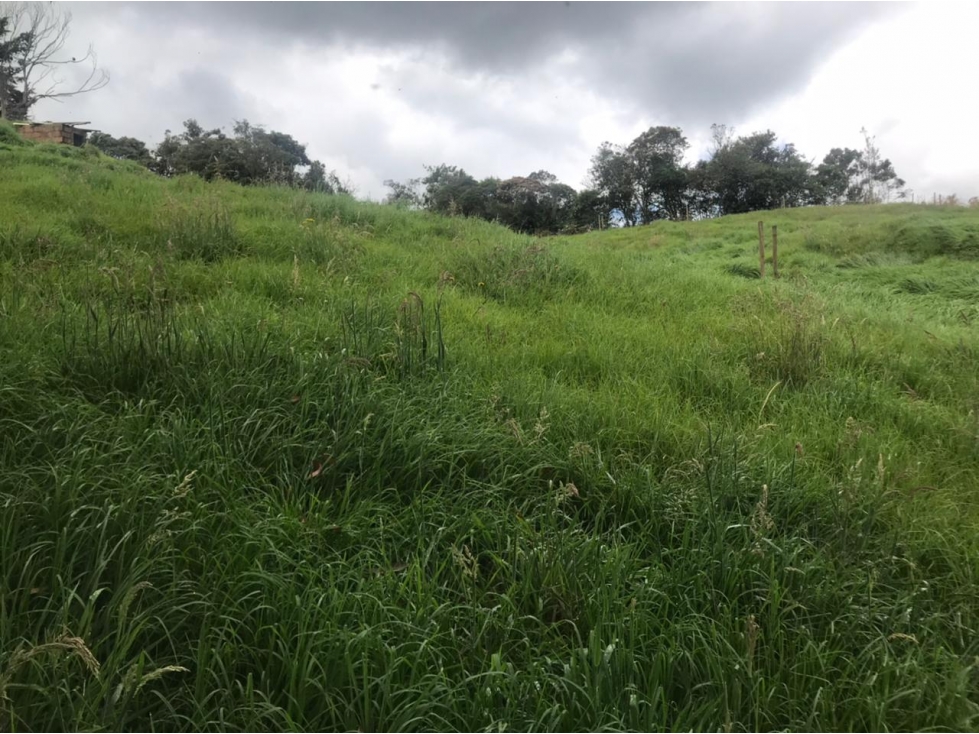 Lote en Venta Vereda La Pulgarina en San Pedro de los Milagros — foto 3