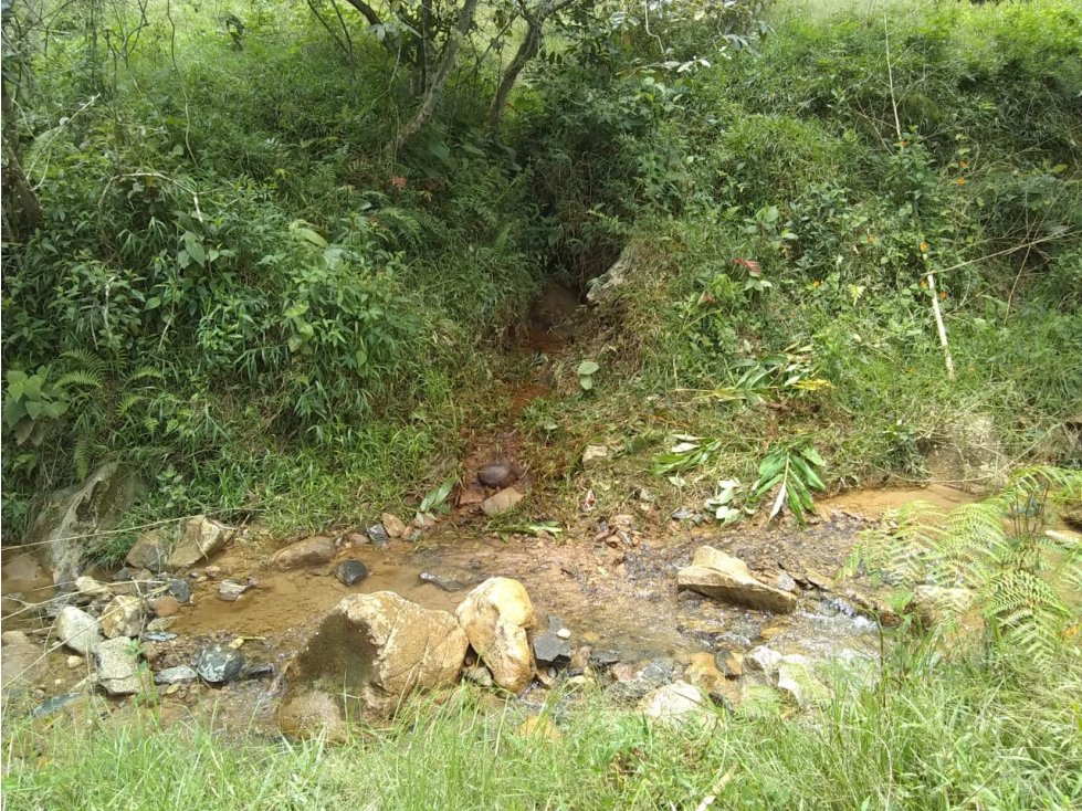 Lote en Venta vereda Guamito en El Peñol - 2