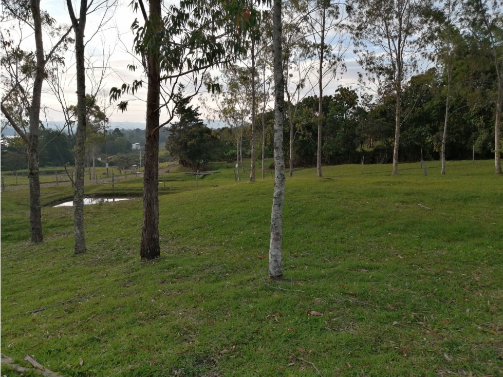 Lote en Venta en Guatapé Sector Los Benedictinos — foto 3