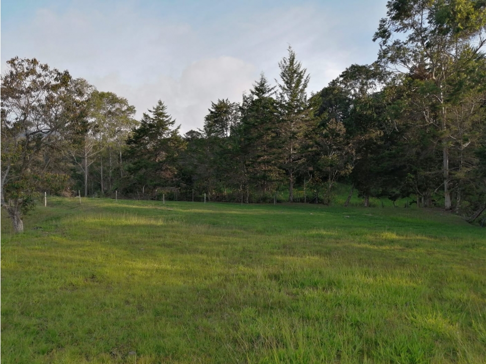 Lote en Venta en Guatapé en el Sector Los Benedictinos — foto 2