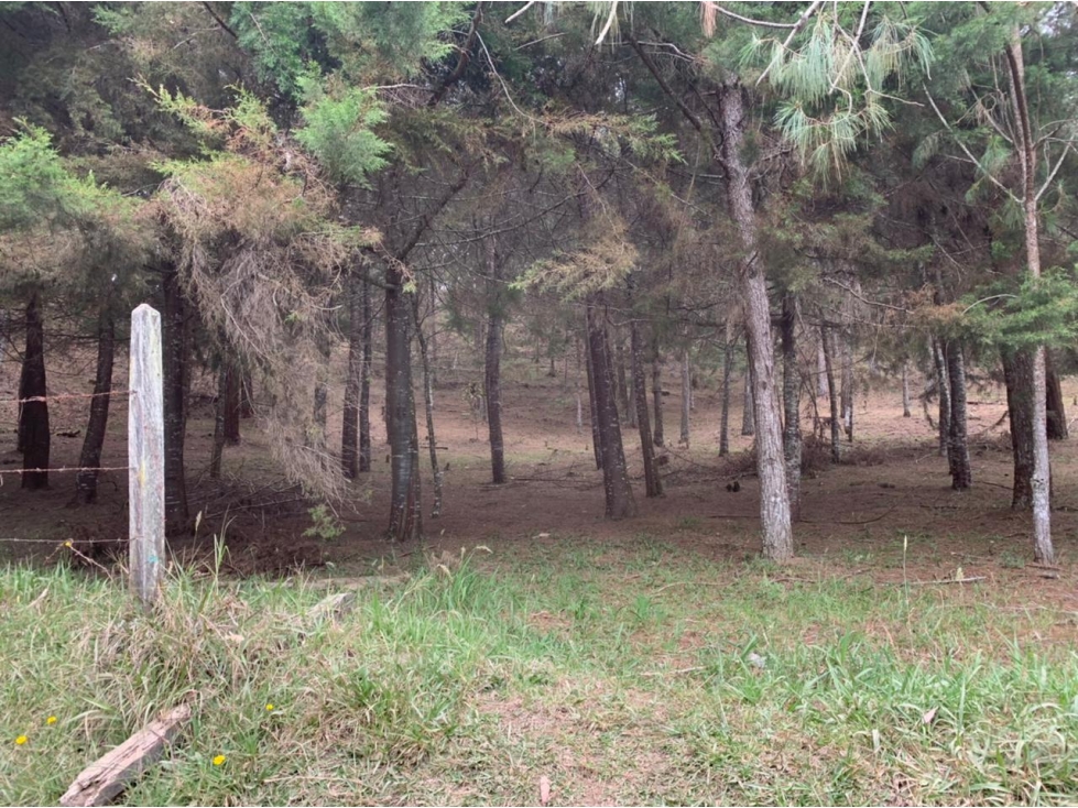Lote en Venta en el Retiro, Sector Lejos del Nido