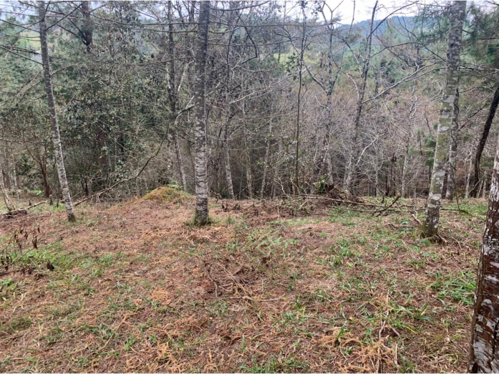 Lote en Venta Sector Lejos del Nido, el Retiro