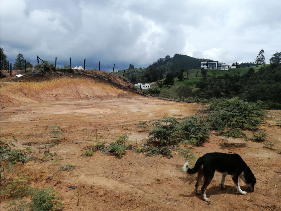 Lote en Venta San Vicente, Sector La Truchera