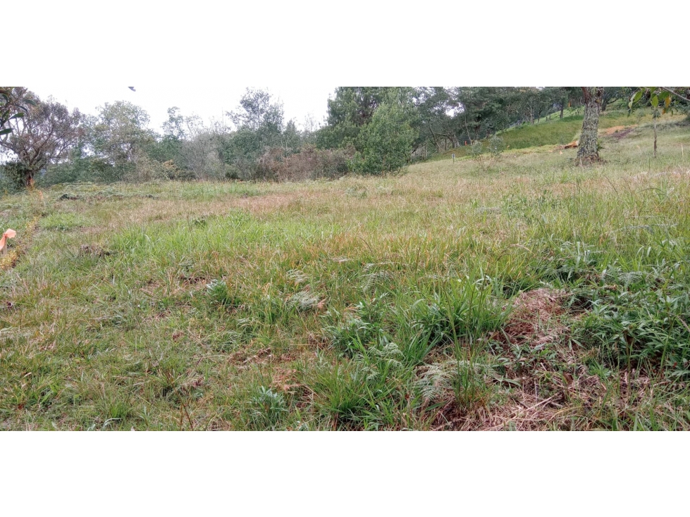 Lote en Venta Sector el Silencio Alto de las Palmas Envigado — foto 3