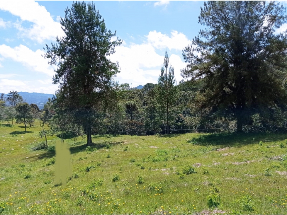 Lote en Venta en Parcelación en el Retiro Sector la Argentina — foto 3