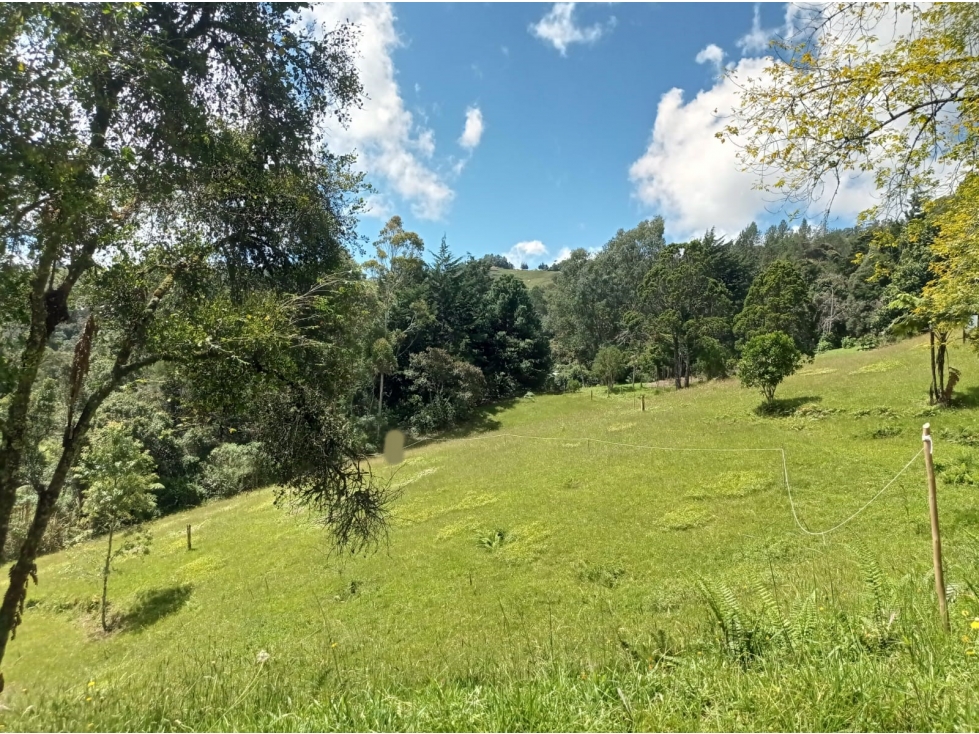 Lote en Venta en Parcelación El Retiro Sector Paso del Toro — foto 3